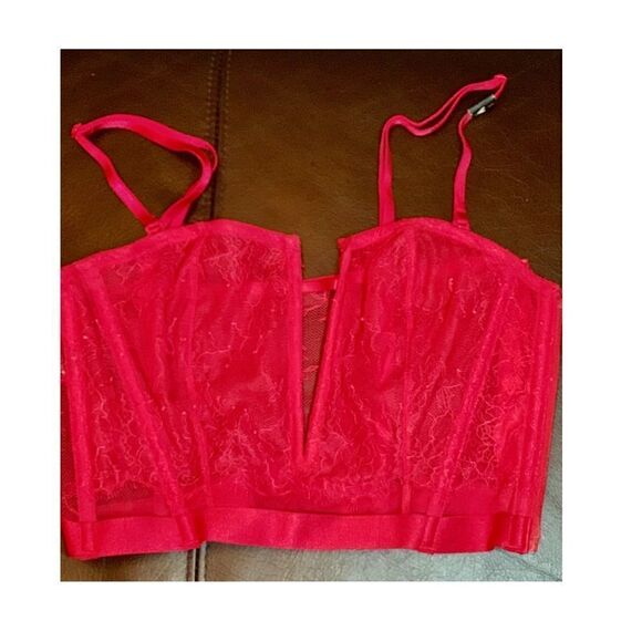 VICTORIA’S secret red lace plunge bustier BNWT - Picture 4 of 4